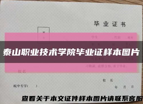 泰山职业技术学院毕业证样本图片缩略图