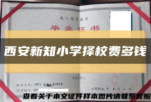 西安新知小学择校费多钱缩略图