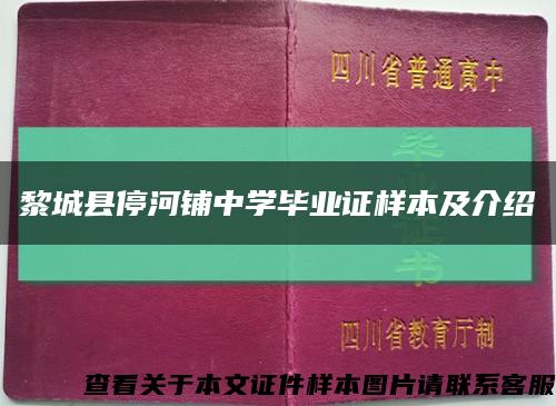 黎城县停河铺中学毕业证样本及介绍缩略图