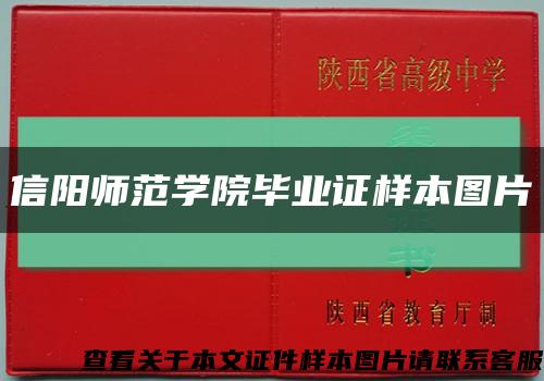 信阳师范学院毕业证样本图片缩略图