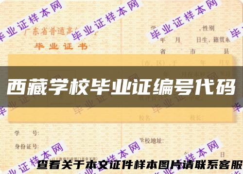 西藏学校毕业证编号代码缩略图