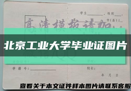 北京工业大学毕业证图片缩略图