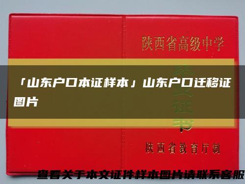 「山东户口本证样本」山东户口迁移证图片缩略图