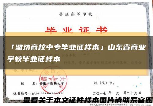 「潍坊商校中专毕业证样本」山东省商业学校毕业证样本缩略图