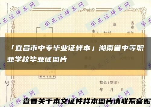 「宜昌市中专毕业证样本」湖南省中等职业学校毕业证图片缩略图