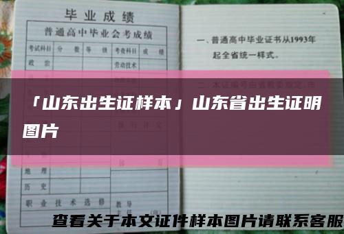 「山东出生证样本」山东省出生证明图片缩略图