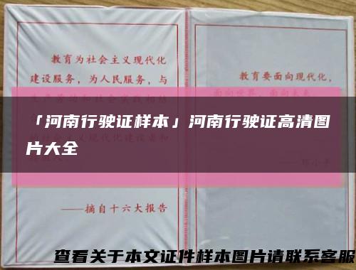 「河南行驶证样本」河南行驶证高清图片大全缩略图