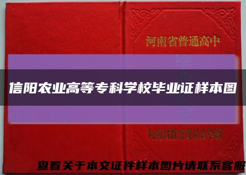 信阳农业高等专科学校毕业证样本图缩略图