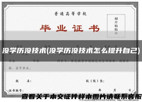 没学历没技术(没学历没技术怎么提升自己)缩略图