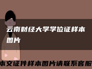 云南财经大学学位证样本图片缩略图