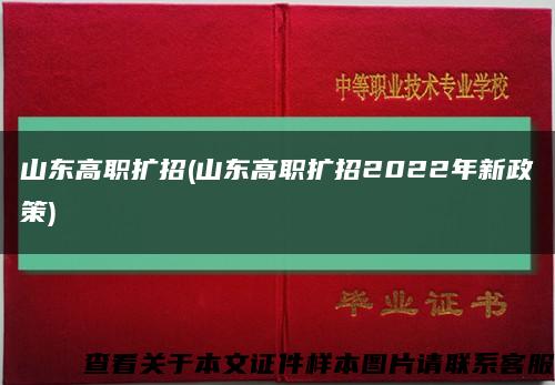 山东高职扩招(山东高职扩招2022年新政策)缩略图