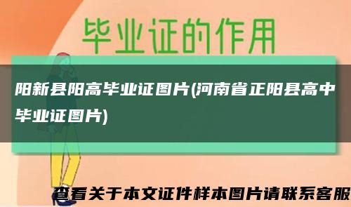 阳新县阳高毕业证图片(河南省正阳县高中毕业证图片)缩略图