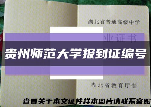 贵州师范大学报到证编号缩略图