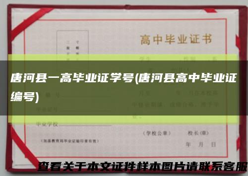 唐河县一高毕业证学号(唐河县高中毕业证编号)缩略图