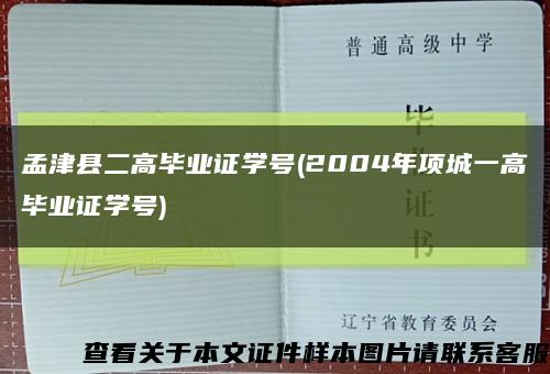 孟津县二高毕业证学号(2004年项城一高毕业证学号)缩略图