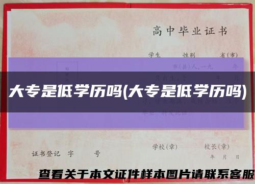 大专是低学历吗(大专是低学历吗)缩略图