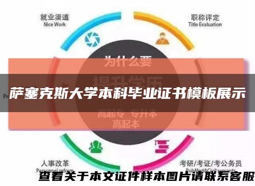 萨塞克斯大学本科毕业证书模板展示缩略图