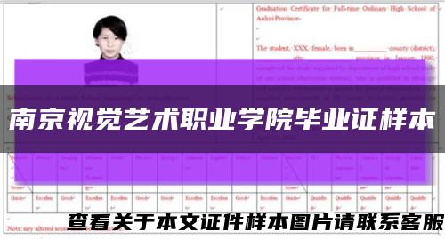南京视觉艺术职业学院毕业证样本缩略图