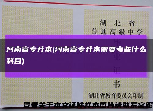 河南省专升本(河南省专升本需要考些什么科目)缩略图