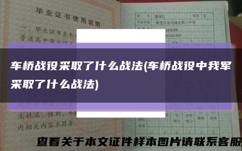 车桥战役采取了什么战法(车桥战役中我军采取了什么战法)缩略图