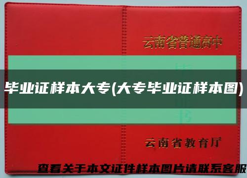 毕业证样本大专(大专毕业证样本图)缩略图