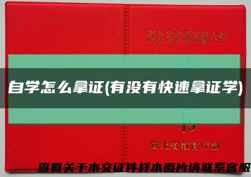 自学怎么拿证(有没有快速拿证学)缩略图