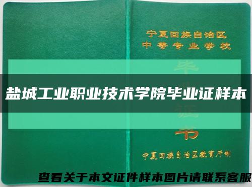 盐城工业职业技术学院毕业证样本缩略图