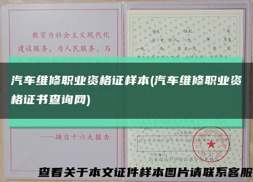 汽车维修职业资格证样本(汽车维修职业资格证书查询网)缩略图