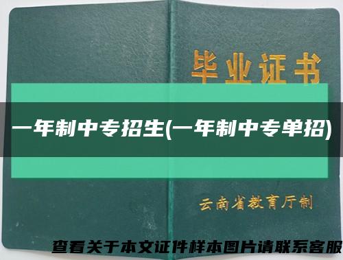 一年制中专招生(一年制中专单招)缩略图