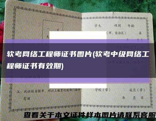 软考网络工程师证书图片(软考中级网络工程师证书有效期)缩略图