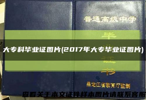 大专科毕业证图片(2017年大专毕业证图片)缩略图