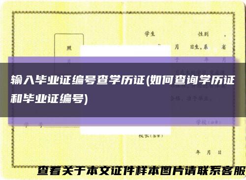 输入毕业证编号查学历证(如何查询学历证和毕业证编号)缩略图