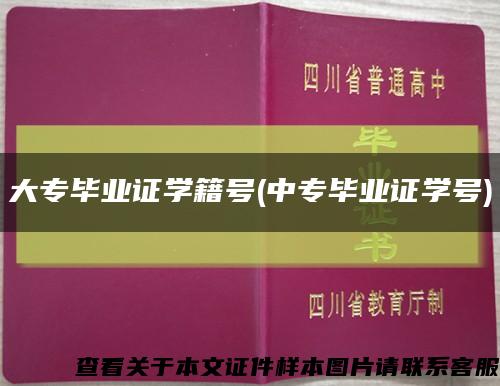 大专毕业证学籍号(中专毕业证学号)缩略图