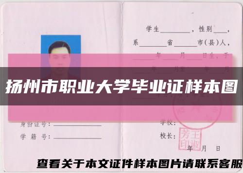 扬州市职业大学毕业证样本图缩略图