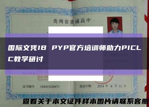 国际文凭IB PYP官方培训师助力PICLC教学研讨缩略图