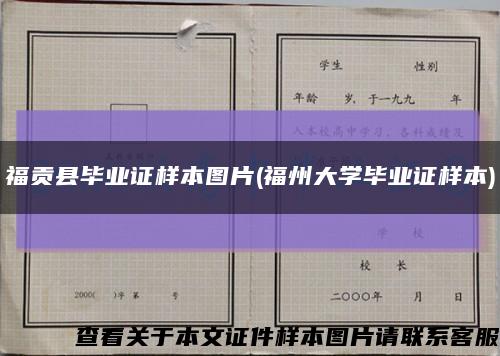 福贡县毕业证样本图片(福州大学毕业证样本)缩略图