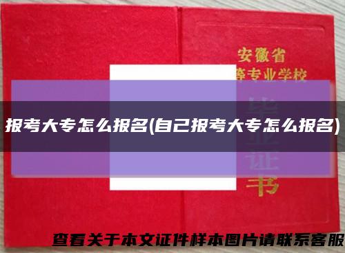 报考大专怎么报名(自己报考大专怎么报名)缩略图