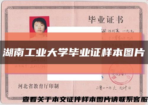 湖南工业大学毕业证样本图片缩略图