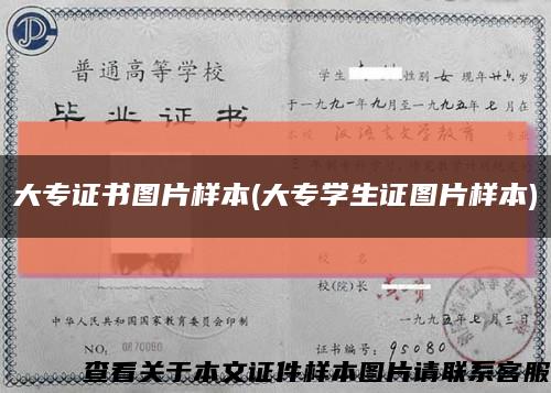 大专证书图片样本(大专学生证图片样本)缩略图