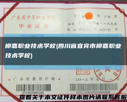 柳嘉职业技术学校(四川省宜宾市柳嘉职业技术学校)缩略图