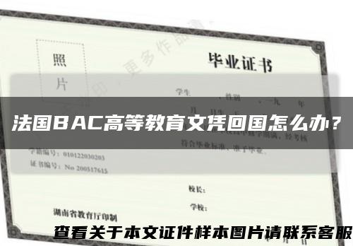 法国BAC高等教育文凭回国怎么办？缩略图