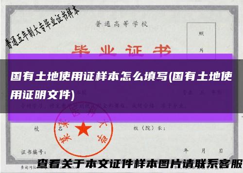 国有土地使用证样本怎么填写(国有土地使用证明文件)缩略图