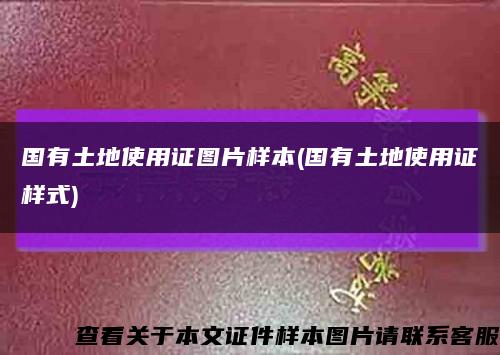 国有土地使用证图片样本(国有土地使用证样式)缩略图