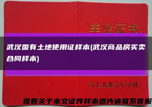 武汉国有土地使用证样本(武汉商品房买卖合同样本)缩略图