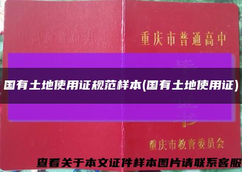 国有土地使用证规范样本(国有土地使用证)缩略图