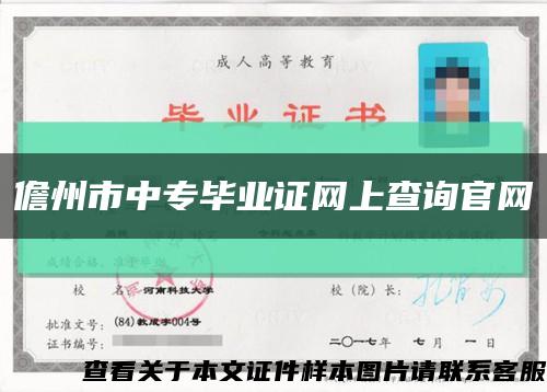 儋州市中专毕业证网上查询官网缩略图