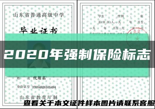 2020年强制保险标志缩略图