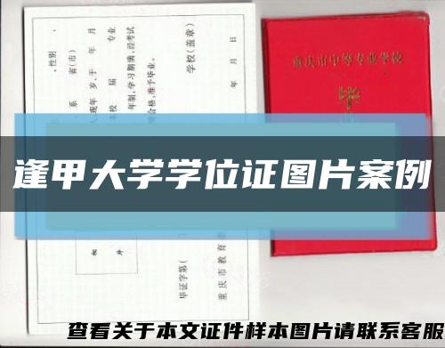 逢甲大学学位证图片案例缩略图