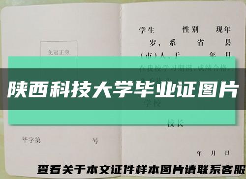 陕西科技大学毕业证图片缩略图