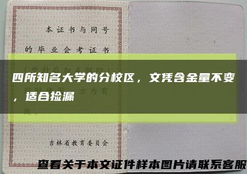 四所知名大学的分校区，文凭含金量不变，适合捡漏缩略图